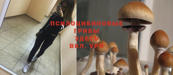 дживик Гусев