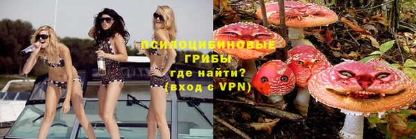 каннабис Гусиноозёрск