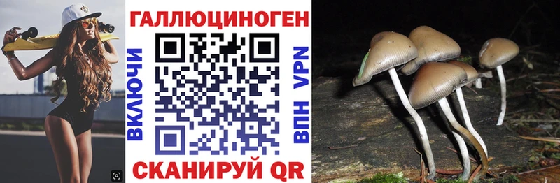Псилоцибиновые грибы GOLDEN TEACHER Дмитровск
